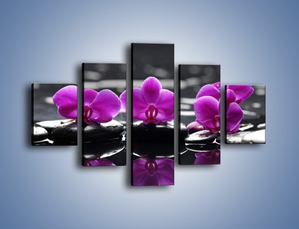 Obraz na płótnie – Wodny szereg kwiatowy – pięcioczęściowy K905W1
