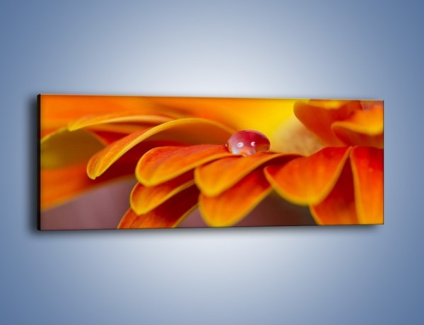 Obraz na płótnie – Kwiatowa pojedyncza łza – jednoczęściowy panoramiczny K872