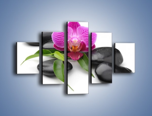 Obraz na płótnie – Kwiat i jego liście – pięcioczęściowy K941W1