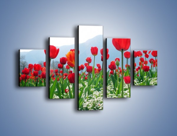 Obraz na płótnie – Konwalie wśród dojrzałych tulipanów – pięcioczęściowy K947W1