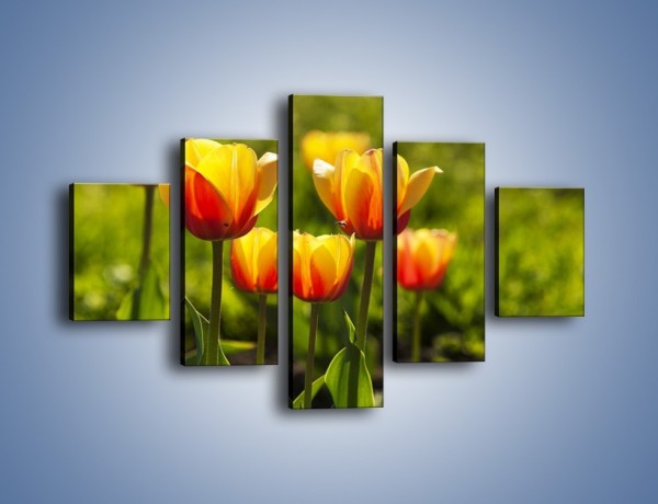 Obraz na płótnie – Pomarańczowe kwiaty i zieleń – pięcioczęściowy K952W1