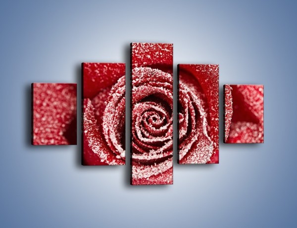 Obraz na płótnie – Szron na różanych płatkach – pięcioczęściowy K958W1