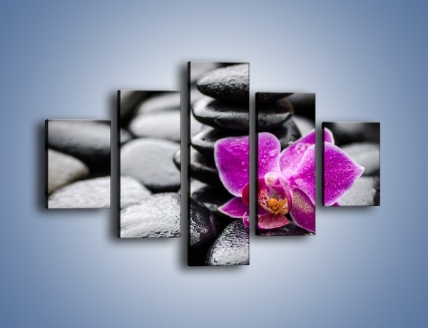 Obraz na płótnie – Malutki kwiatek i morze kamieni – pięcioczęściowy K983W1
