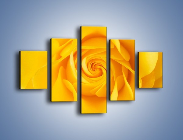 Obraz na płótnie – Moc żółtej róży – pięcioczęściowy K989W1