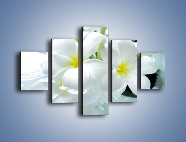 Obraz na płótnie – Białe kwiaty w potoku – pięcioczęściowy K991W1