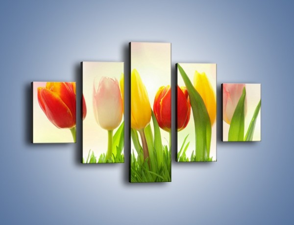 Obraz na płótnie – Sześć małych tulipanków – pięcioczęściowy K996W1