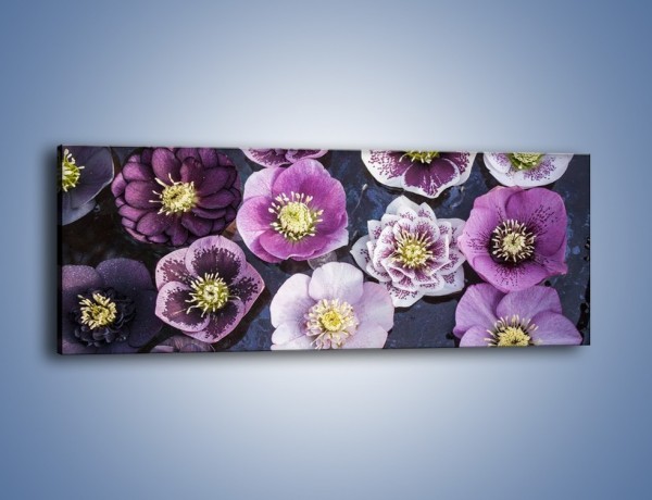 Obraz na płótnie – Wszystkie odcienie fioletu w kwiatach – jednoczęściowy panoramiczny K876
