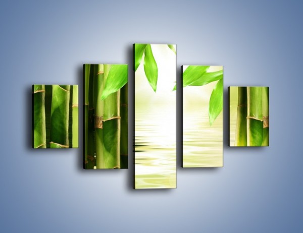 Obraz na płótnie – Bambusowe liście i łodygi – pięcioczęściowy KN027W1