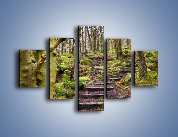 Obraz na płótnie – Schodkami przez las – pięcioczęściowy KN1054W1