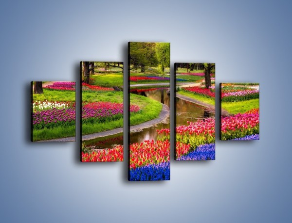 Obraz na płótnie – Aleje kolorowych tulipanów – pięcioczęściowy KN1079W1