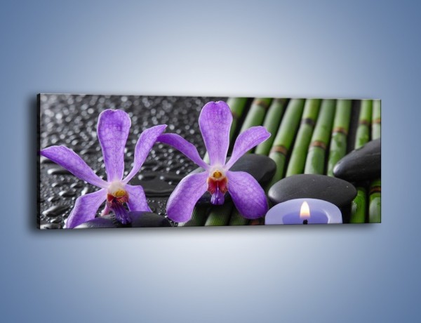 Obraz na płótnie – Mokre fiolety i kwiaty – jednoczęściowy panoramiczny K880