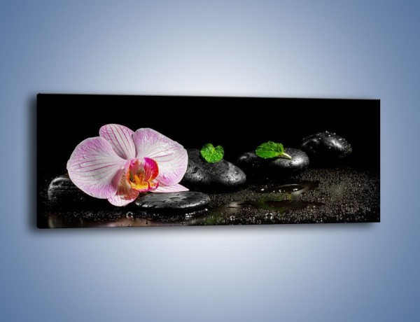 Obraz na płótnie – Kwiat w mokrym klimacie – jednoczęściowy panoramiczny K882