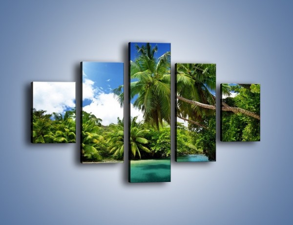 Obraz na płótnie – Rozłożone palmy i woda – pięcioczęściowy KN1168AW1