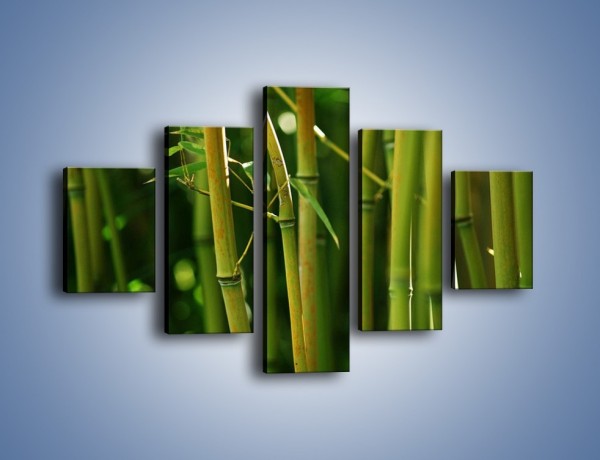 Obraz na płótnie – Bambusowe łodygi z bliska – pięcioczęściowy KN118W1
