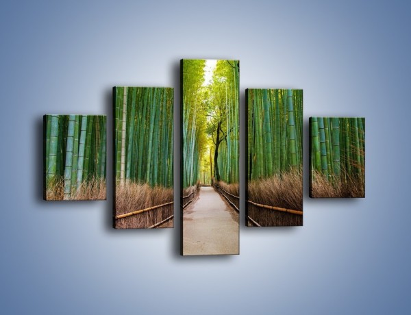 Obraz na płótnie – Bambusowy las – pięcioczęściowy KN1187AW1