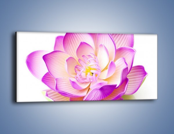 Obraz na płótnie – Kwiat otwarty na świat – jednoczęściowy panoramiczny K890