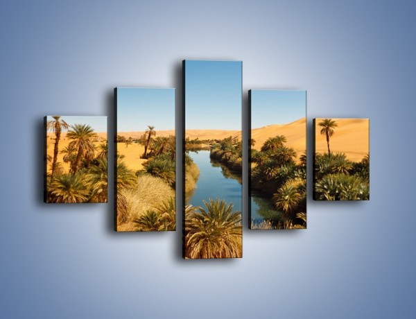 Obraz na płótnie – Woda woda na pustyni – pięcioczęściowy KN1294AW1