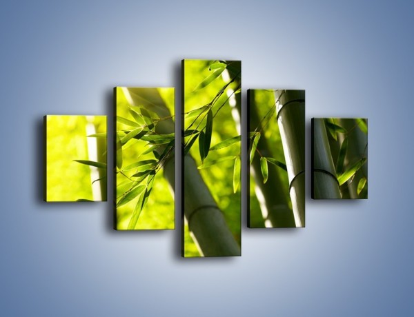 Obraz na płótnie – Twarde łodygi bambusa – pięcioczęściowy KN1314AW1