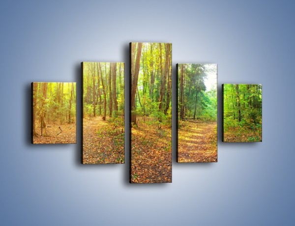 Obraz na płótnie – Przejrzysty piękny las – pięcioczęściowy KN1344AW1
