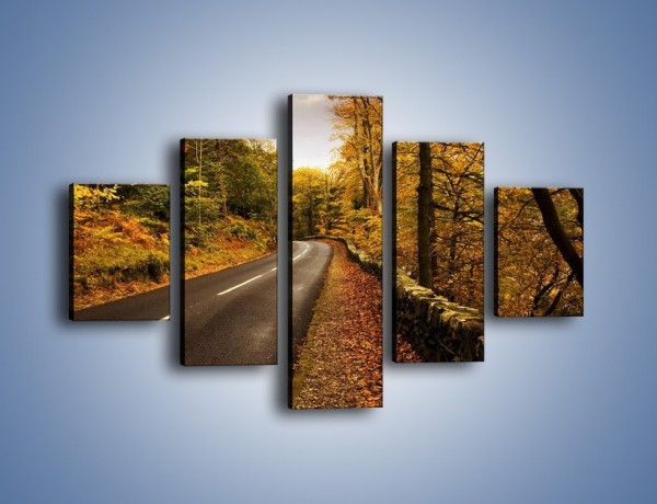 Obraz na płótnie – Asfaltową droga przez las – pięcioczęściowy KN169W1