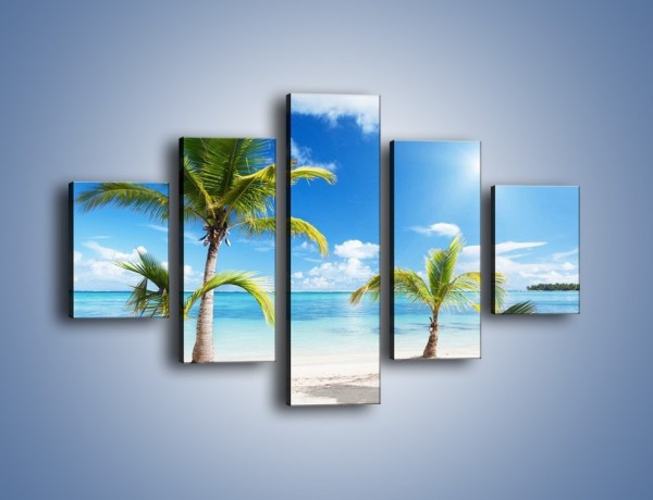 Obraz na płótnie – Palmy na pustej plaży – pięcioczęściowy KN245W1
