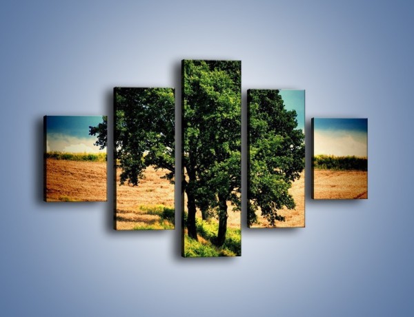 Obraz na płótnie – Para zaprzyjaźnionych drzew – pięcioczęściowy KN571W1