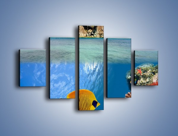 Obraz na płótnie – Podwodny świat na wyspie – pięcioczęściowy KN586W1