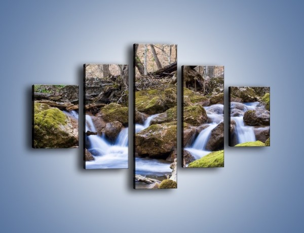 Obraz na płótnie – Rwący potok w chłodny dzień – pięcioczęściowy KN676W1
