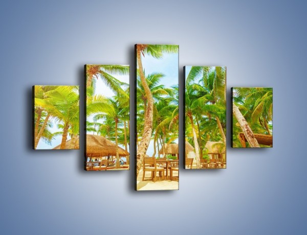 Obraz na płótnie – Słoneczna sjesta pod palmami – pięcioczęściowy KN886W1
