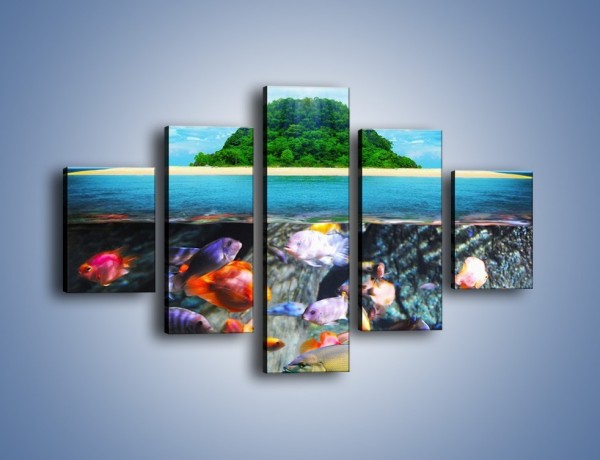 Obraz na płótnie – Kolorowy świat ryb – pięcioczęściowy KN906W1
