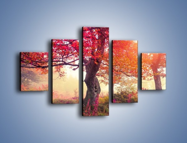 Obraz na płótnie – Kolory na drzewach i na ziemi – pięcioczęściowy KN941W1