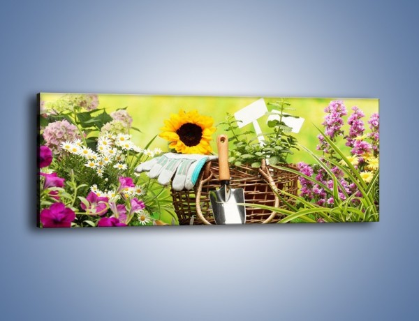 Obraz na płótnie – Sezon na działkowe kwiatki – jednoczęściowy panoramiczny K917