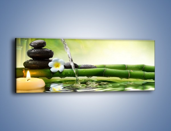 Obraz na płótnie – Bambus i źródło wody – jednoczęściowy panoramiczny K930