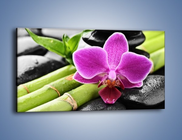 Obraz na płótnie – Idealnie ułożony kwiat – jednoczęściowy panoramiczny K931