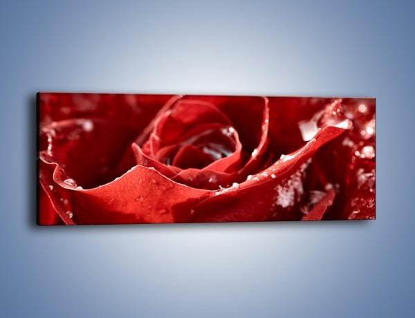 Obraz na płótnie – Chłód w różanych płatkach – jednoczęściowy panoramiczny K932