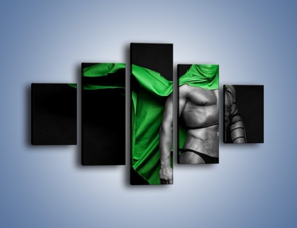 Obraz na płótnie – Zielony ninja – pięcioczęściowy L245W1
