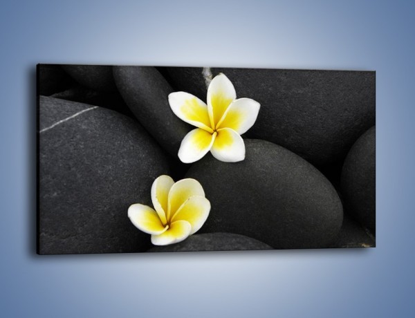 Obraz na płótnie – Kwiaty wrzucone w kamienne szczeliny – jednoczęściowy panoramiczny K934