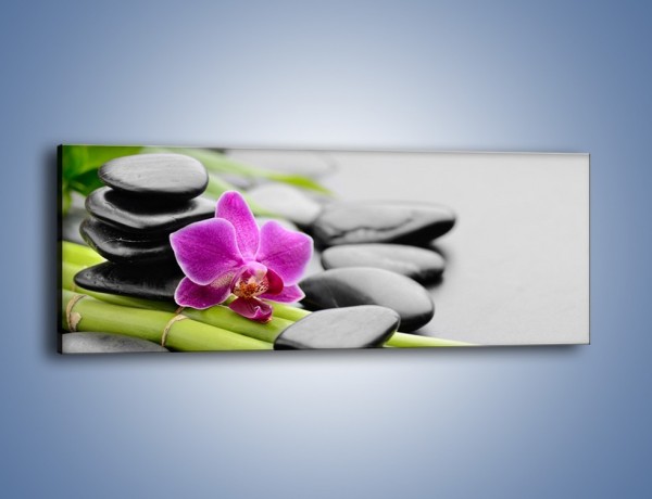 Obraz na płótnie – Samotny kwiat na bambusowych łodygach – jednoczęściowy panoramiczny K940