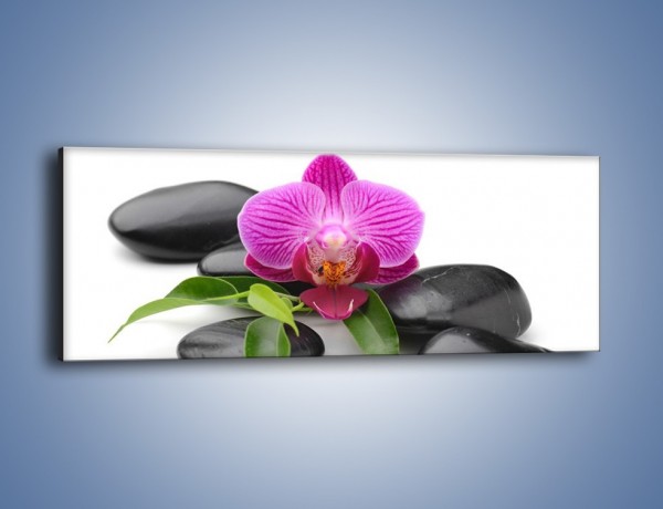 Obraz na płótnie – Kwiat i jego liście – jednoczęściowy panoramiczny K941