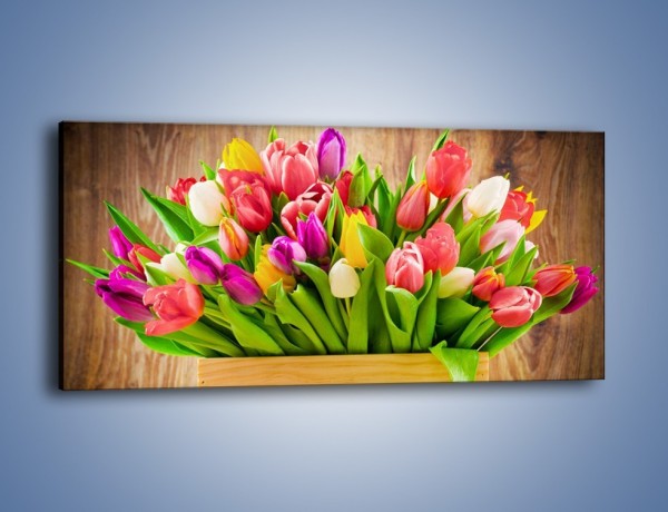Obraz na płótnie – Skrzynia w tulipanach – jednoczęściowy panoramiczny K955
