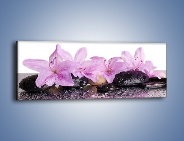 Obraz na płótnie – Lila kwiaty w mokrym klimacie – jednoczęściowy panoramiczny K957