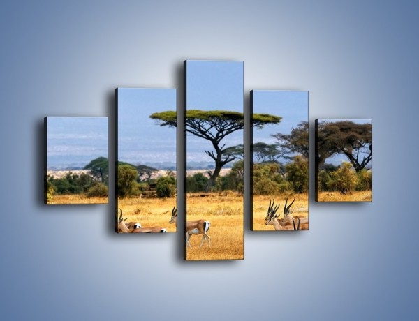 Obraz na płótnie – Antylopy w słonecznej afryce – pięcioczęściowy Z003W1