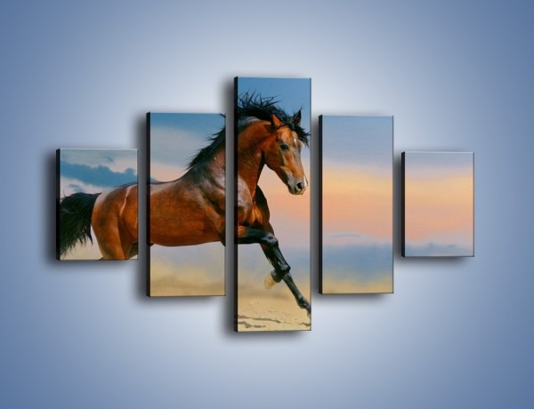 Obraz na płótnie – Brązowy koń na pustyni – pięcioczęściowy Z011W1