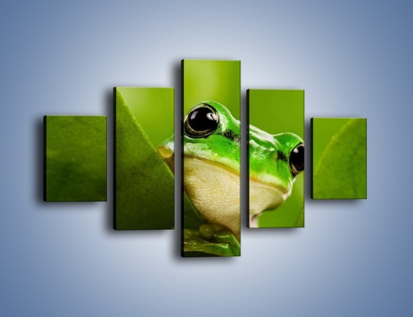 Obraz na płótnie – Zielony świat żabki – pięcioczęściowy Z014W1