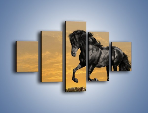 Obraz na płótnie – Bieg z koniem po polanie – pięcioczęściowy Z057W1