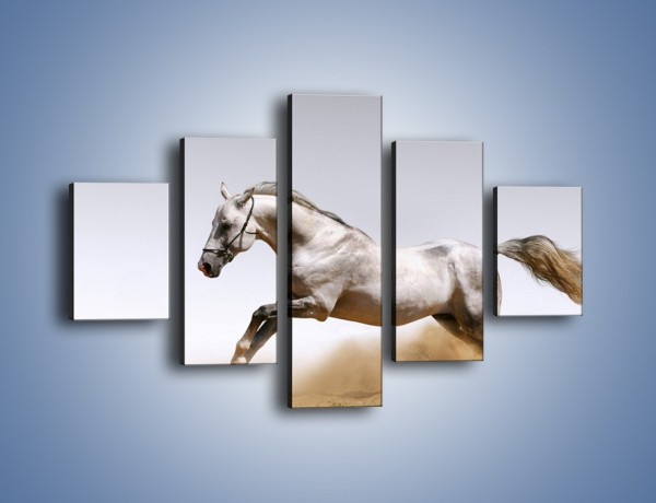 Obraz na płótnie – Srebrny koń w galopie – pięcioczęściowy Z062W1