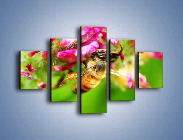 Obraz na płótnie – Pszczoły kochają kwiaty – pięcioczęściowy Z065W1