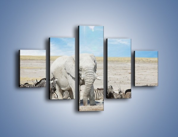 Obraz na płótnie – Słoń i jego przyjaciele – pięcioczęściowy Z080W1
