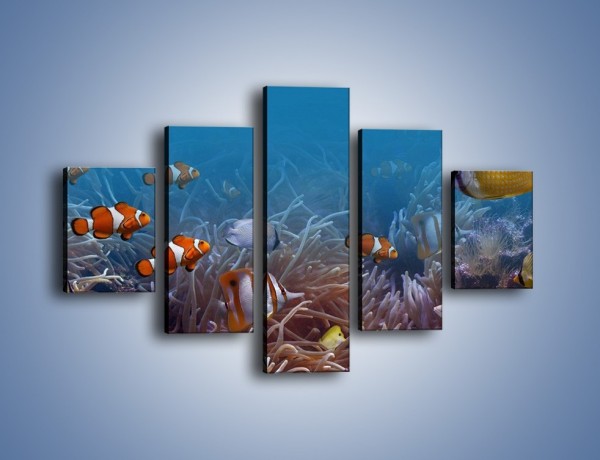 Obraz na płótnie – Ocean i jego kolorowi towarzysze – pięcioczęściowy Z168W1