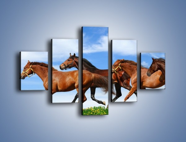 Obraz na płótnie – Galopujące stado brązowych koni – pięcioczęściowy Z172W1